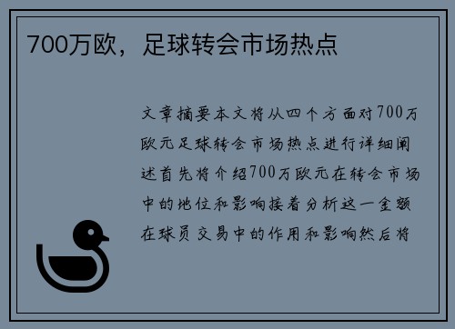 700万欧，足球转会市场热点